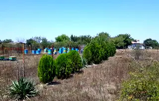 Парцел в Добрич, с. Топола