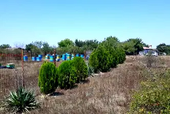 Парцел в Добрич, с. Топола