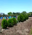 Парцел в Добрич, с. Топола