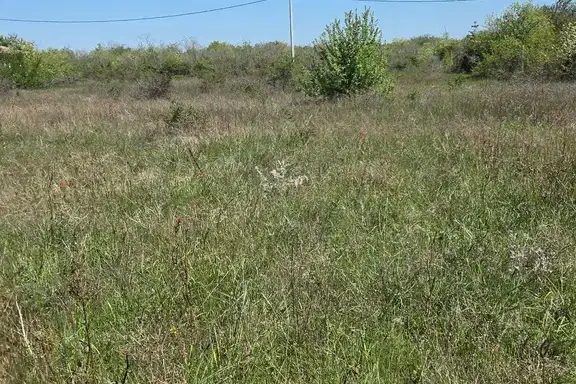 Парцел в Добрич, с. Топола