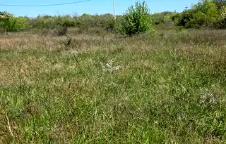 Парцел в Добрич, с. Топола
