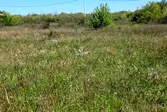 Парцел в Добрич, с. Топола
