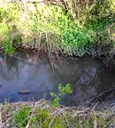 Парцел в Плевен, с. Тученица