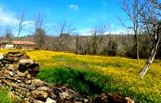 Парцел в Габрово, с. Туркинча