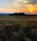 Парцел в София, с. Вакарел