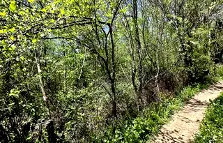 Парцел в Ловеч, с. Велчево
