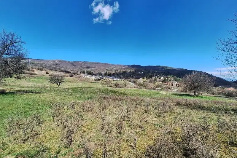 Plot in Vladaya