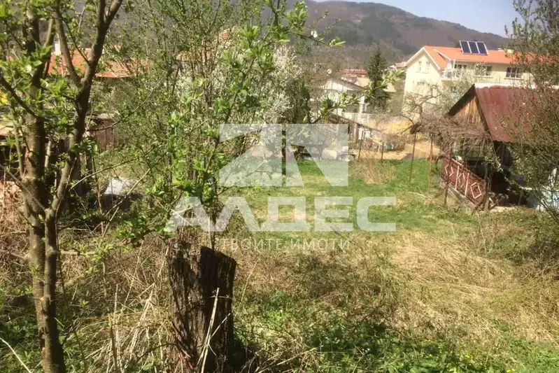 Plot in Vladaya
