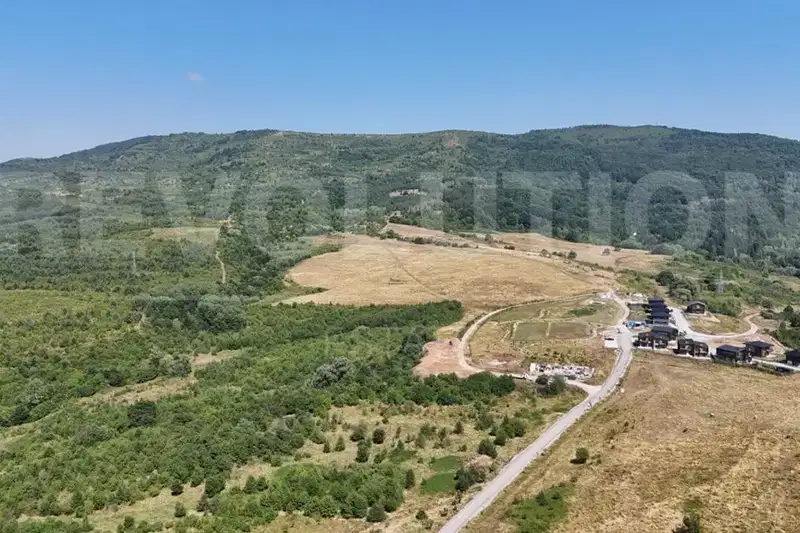 Plot in Vladaya