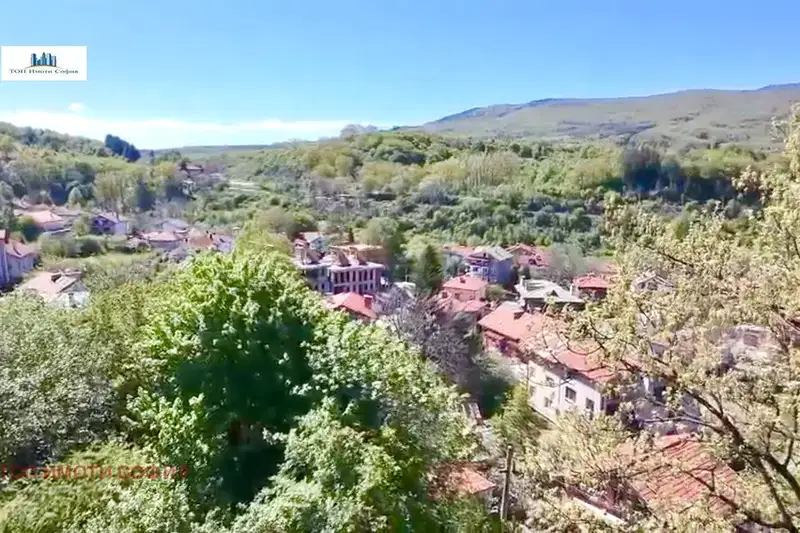 Plot in Vladaya