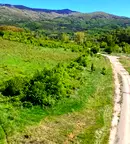 Парцел в с. Владая