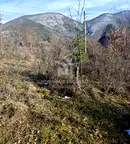 Парцел в София, с. Владо Тричков