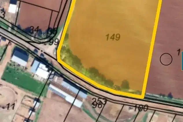 Plot in Voinegovci