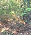 Парцел във Велико Търново, с. Войнежа