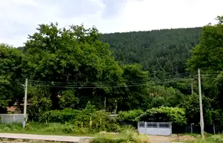 Парцел в София, с. Врачеш