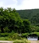 Парцел в София, с. Врачеш