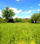Парцел в Габрово, с. Враниловци