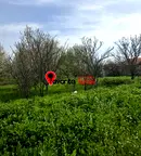 Парцел в Шумен, с. Златна нива