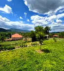 Парцел в Ловеч, с. Златна Панега