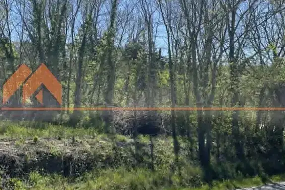 Plot in Zvezdica