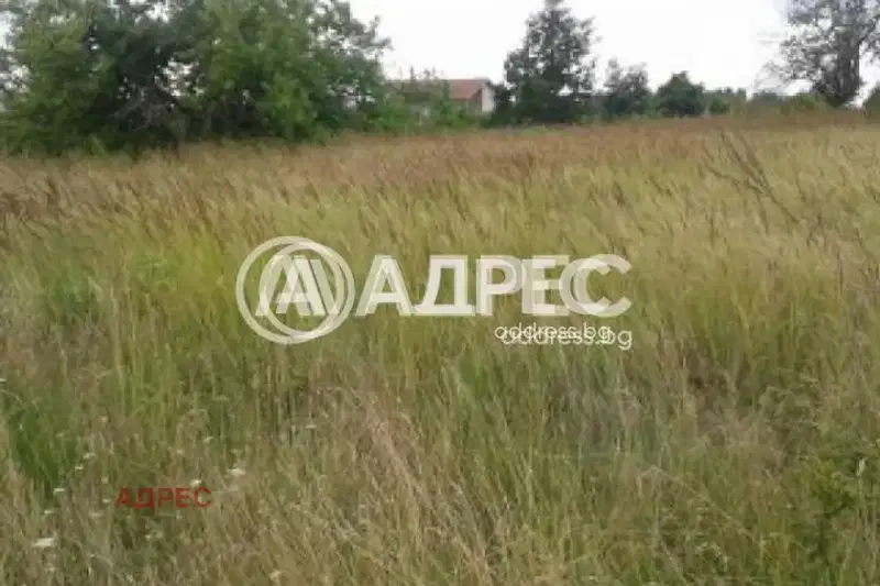Plot in Zvezdica