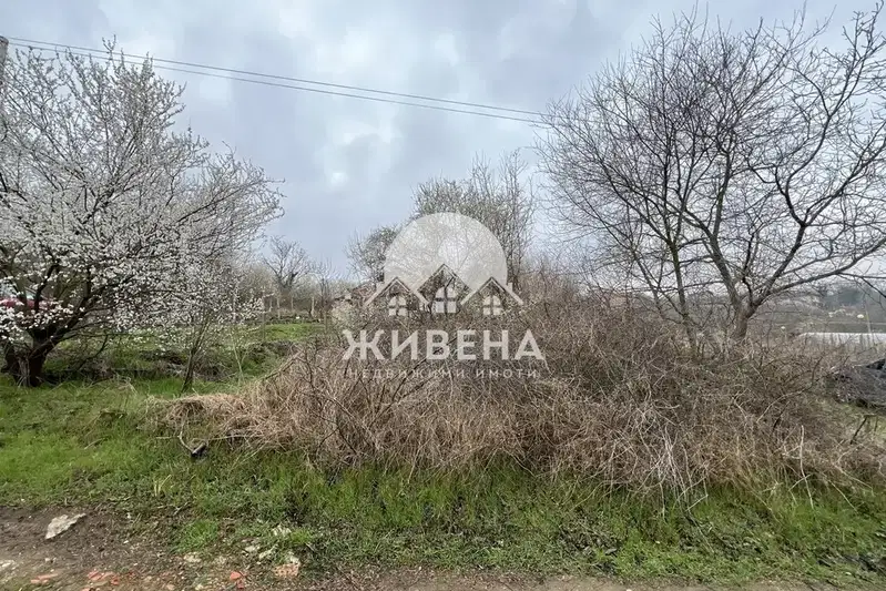 Plot in Zvezdica