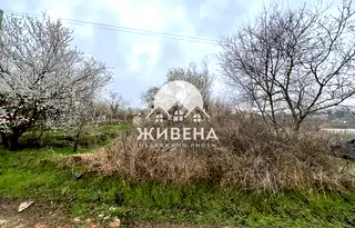 Парцел в с. Звездица