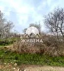 Парцел в с. Звездица