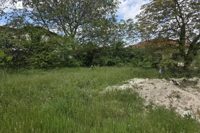 Plot in Zvezdica