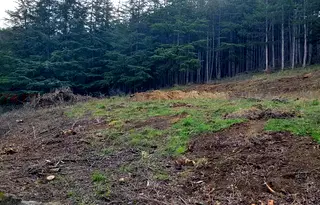 Парцел в Благоевград, Сандански