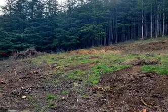 Парцел в Благоевград, Сандански