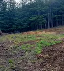 Парцел в Благоевград, Сандански