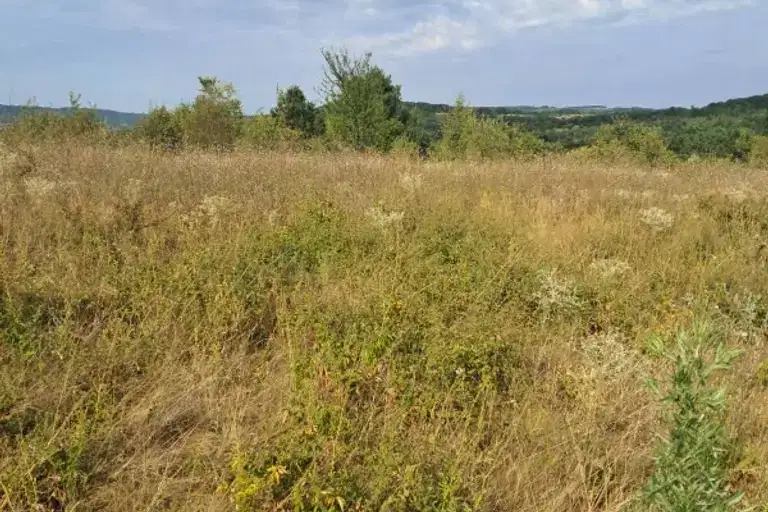 Plot in Oblast Gabrovo, Sevlievo