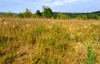Парцел в Габрово, Севлиево