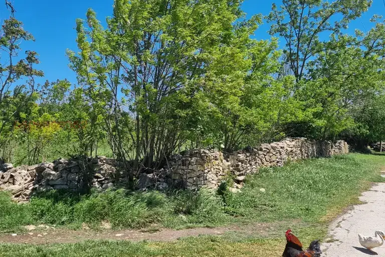 Парцел в Шумен, Мътница