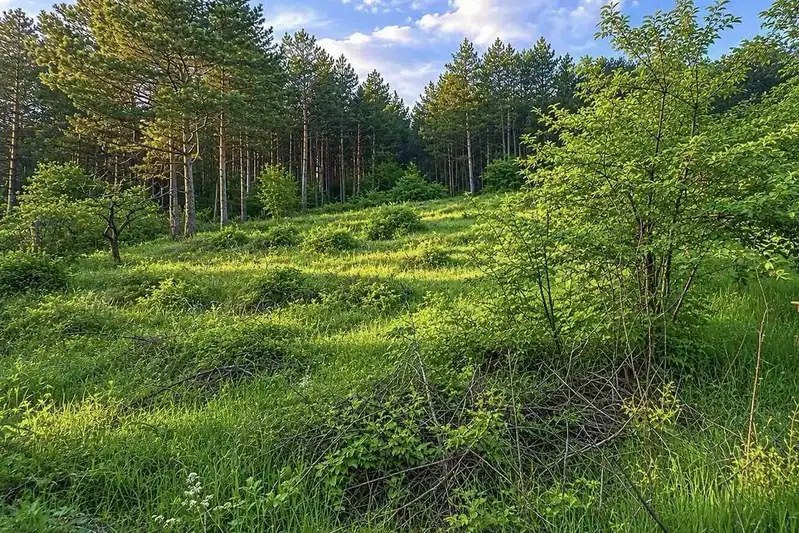 Парцел в Шумен, Пожарната