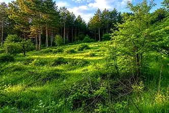 Парцел в Шумен, Пожарната