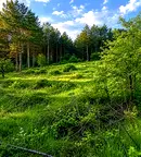 Парцел в Шумен, Пожарната