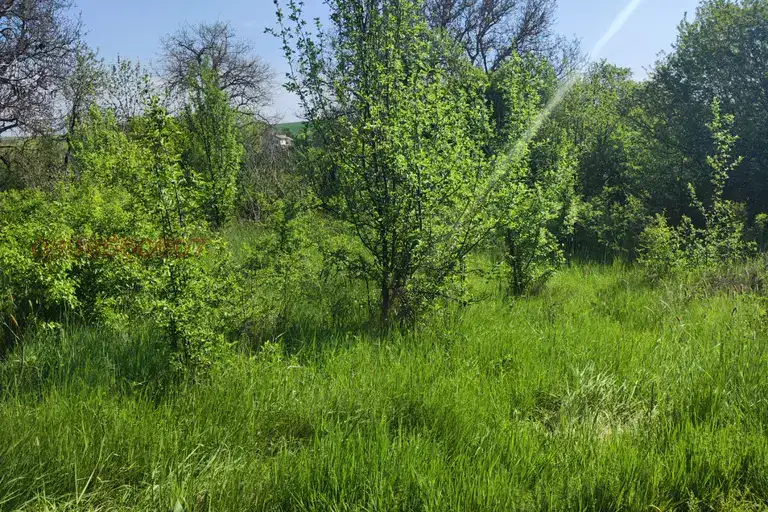 Парцел в София, Сливница