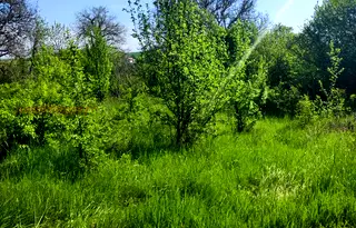 Парцел в София, Сливница