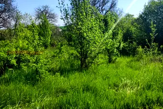 Парцел в София, Сливница