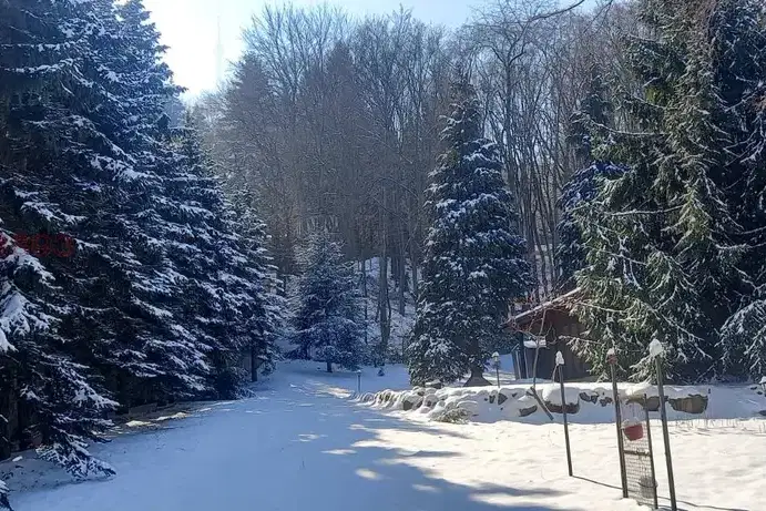 Парцел в София, Бояна