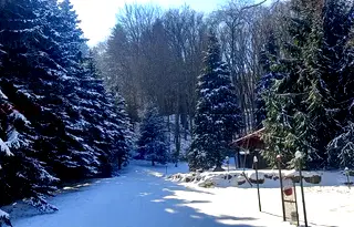 Парцел в София, Бояна