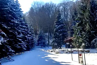 Парцел в София, Бояна