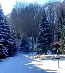 Парцел в София, Бояна
