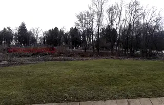 Парцел в София, Бояна