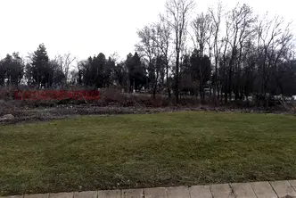 Парцел в София, Бояна
