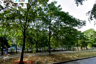 Парцел в София, Център
