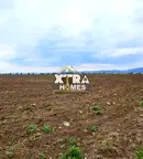 Парцел в София, Челопечене