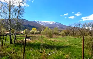 Парцел в София, Драгалевци